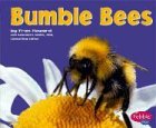 Bumblebees (Bugs, Bugs, Bugs!)