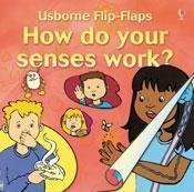 How Do Your Senses Work (Flip Flaps)