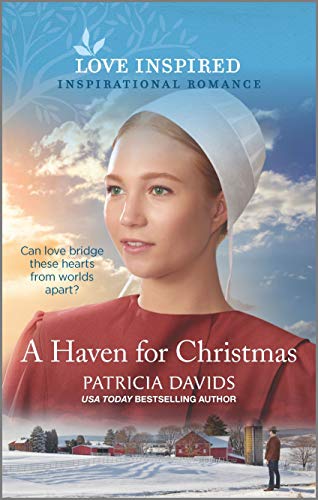 A Haven for Christmas (North Country Amish, 3)