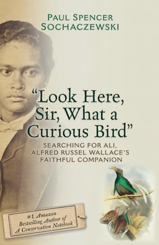 "Look Here, Sir, What a Curious Bird": Searching for Ali, Alfred Russel Wallace's Faithful Companion