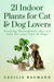 21 Indoor Plants for Cat & Dog Lovers: Growing Houseplants that are Safe for your Cats & Dogs