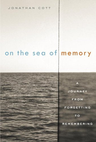 On the Sea of Memory: A Journey from Forgetting to Remembering
