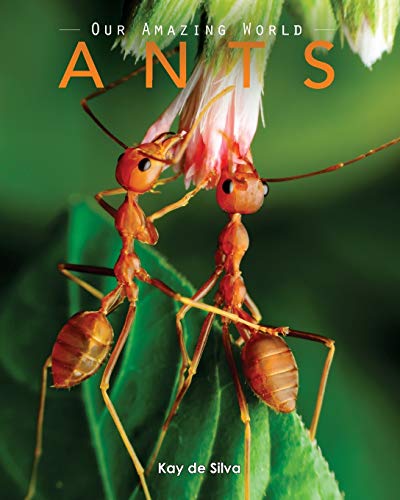 Ants: Amazing Pictures & Fun Facts on Animals in Nature (Our Amazing World)