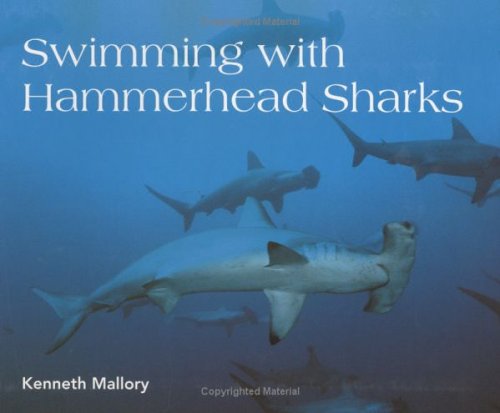 Swimming With Hammerhead Sharks (Scientists in the Field)