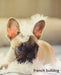 French Bulldog: A Gift Journal for People who Love Dogs: French Bulldog Puppy Edition (So Cute Puppies)