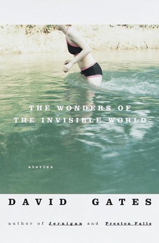The Wonders of the Invisible World: Stories
