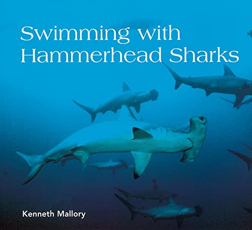 Swimming with Hammerhead Sharks