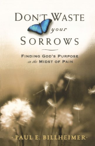 Dont Waste Your Sorrows: Finding God's Purpose in the Midst of Pain