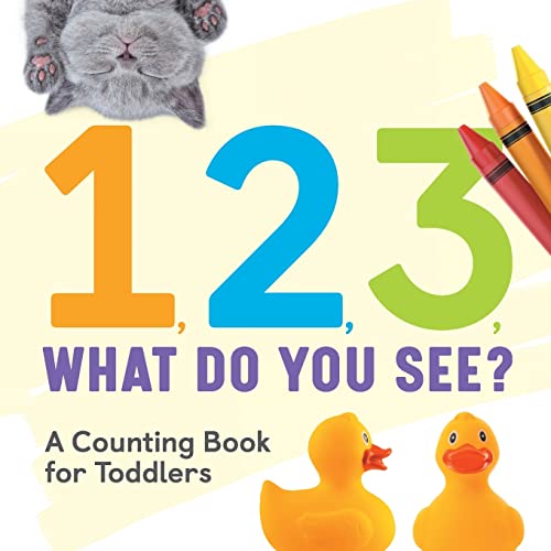 1, 2, 3, What Do You See?: A Counting Book for Toddlers