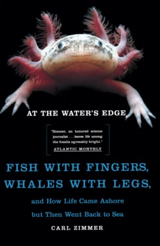 At the Water's Edge : Fish with Fingers, Whales with Legs, and How Life Came Ashore but Then Went Back to Sea