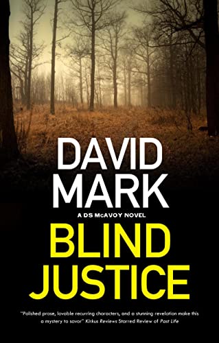Blind Justice (A DS McAvoy novel, 10)