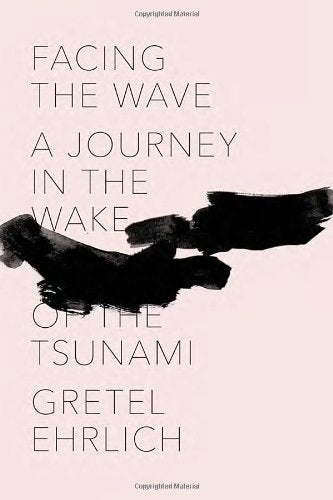 Facing the Wave: A Journey in the Wake of the Tsunami