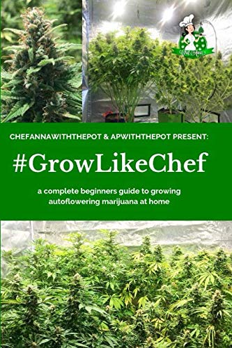 #GROWLIKECHEF: a complete beginners guide to growing autoflowering marijuana at home