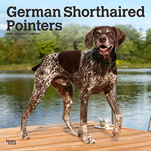 German Shorthaired Pointers | 2024 12 x 24 Inch Monthly Square Wall Calendar | BrownTrout | Animals Dog Breeds