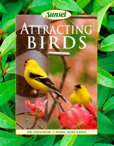 Attracting Birds