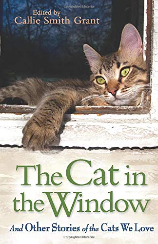 The Cat in the Window: And Other Stories of the Cats We Love