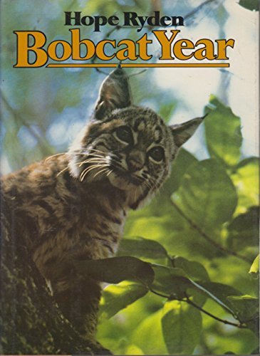 Bobcat Year