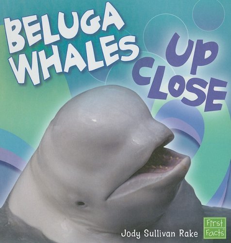 Beluga Whales Up Close (Whales and Dolphins Up Close)