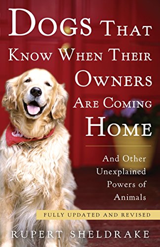 Dogs That Know When Their Owners Are Coming Home: Fully Updated and Revised