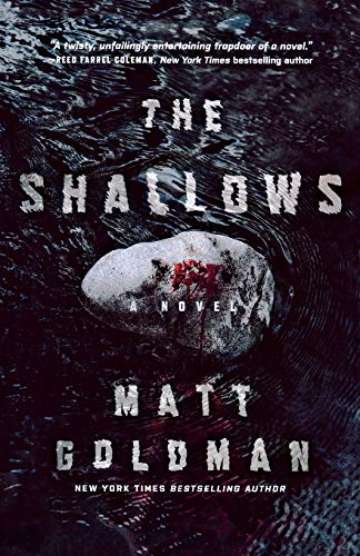 The Shallows: A Nils Shapiro Novel (Nils Shapiro, 3)