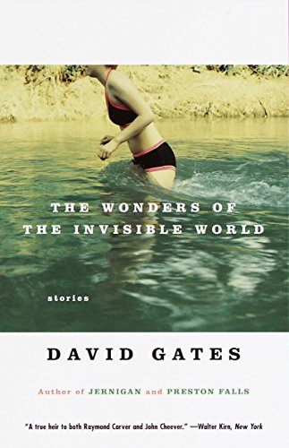 The Wonders of the Invisible World (Vintage Contemporaries)