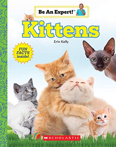 Kittens (Be An Expert!) (paperback)