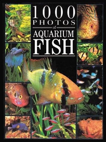 1000 Photos of Aquarium Fish (1000 Photos Series)