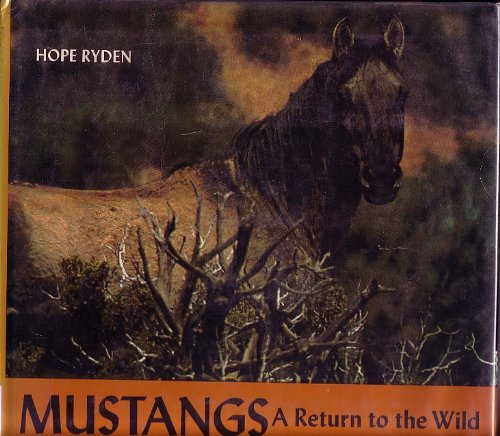 Mustangs: A Return to the Wild