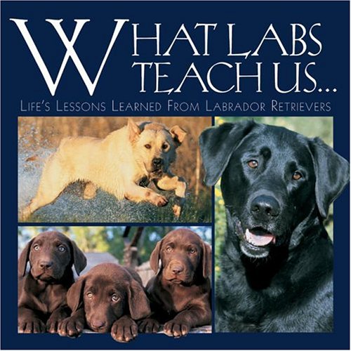 What Labs Teach Us...: Life's Lessons Learned from Labrador Retrievers