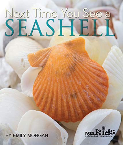 Next Time You See a Seashell