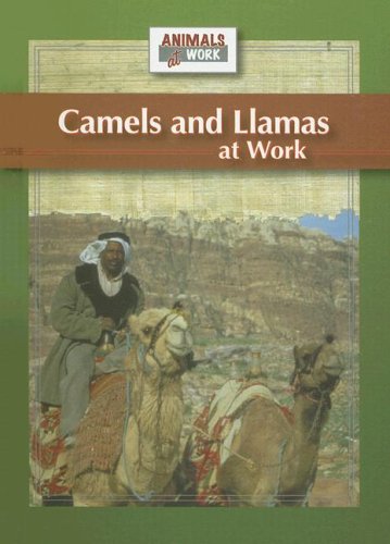 Camels And Llamas at Work (Animals at Work)
