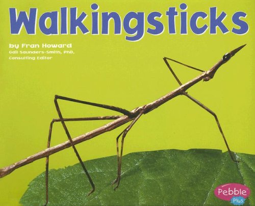 Walkingsticks (Bugs, Bugs, Bugs!)