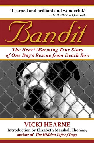 Bandit: The Heart-Warming True Story of One Dog's Rescue from Death Row