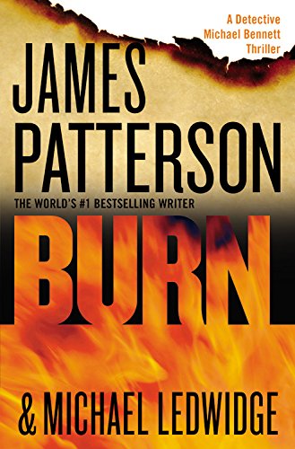 Burn (A Michael Bennett Thriller, 7)