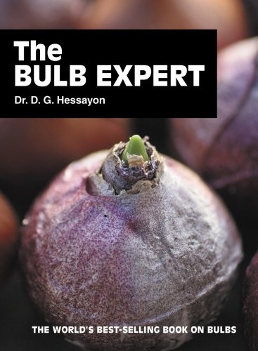 The Bulb Expert (Expert Series)