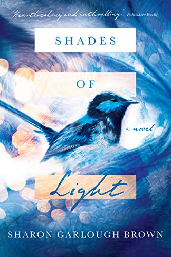 Shades of Light: A Novel