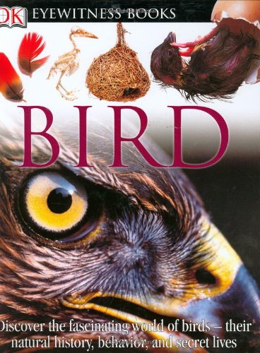 Bird (DK Eyewitness Books)
