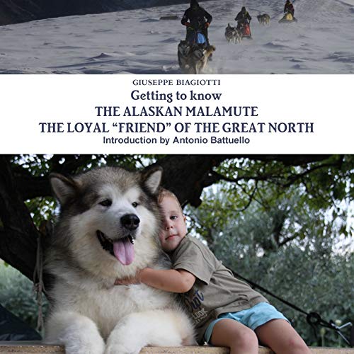 Getting to know THE ALASKAN MALAMUTE THE LOYAL FRIEND OF THE GREAT NORTH
