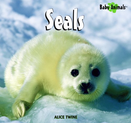 Seals (Baby Animals)