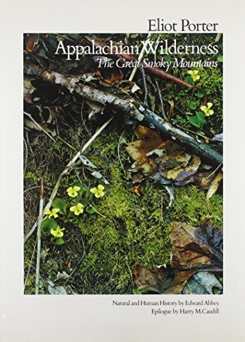 Appalachian Wilderness: The Great Smoky Mountains