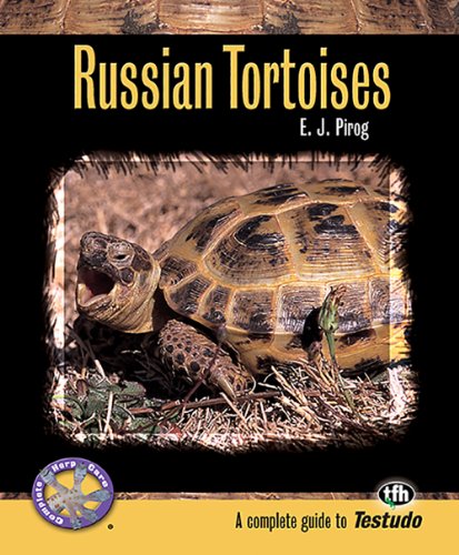 Russian Tortoises (Complete Herp Care)
