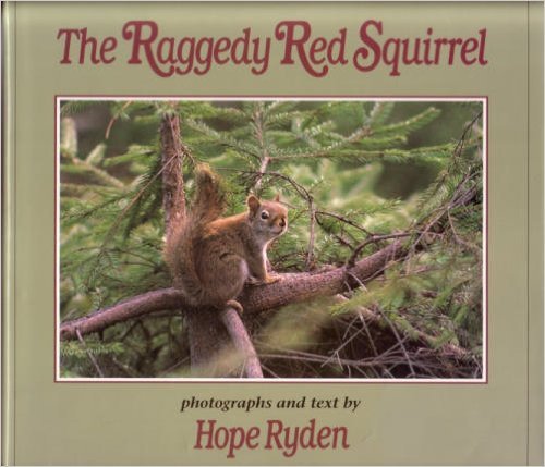 The Raggedy Red Squirrel