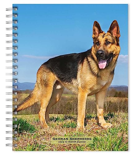 German Shepherds | 2024 6 x 7.75 Inch Spiral-Bound Wire-O Weekly Engagement Planner Calendar | New Full-Color Image Every Week | BrownTrout | Animals Dog Breeds Pets