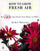 How to Grow Fresh Air: 50 House Plants that Purify Your Home or Office