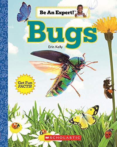 Bugs (Be An Expert!)