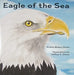 Eagle of the Sea