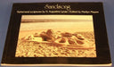 Sandsong: Ephemeral Sculptures by G. Augustine Lynas