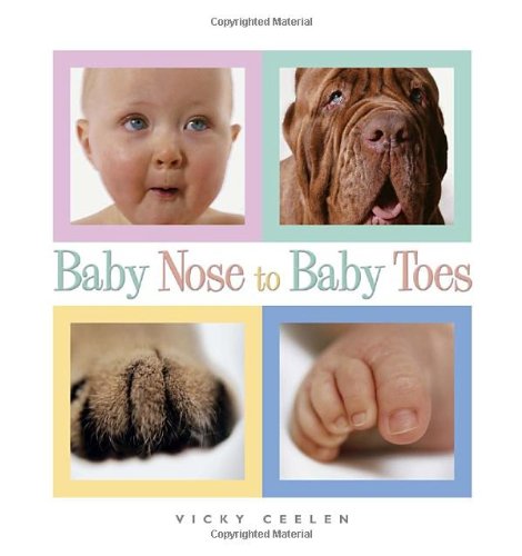 Baby Nose to Baby Toes