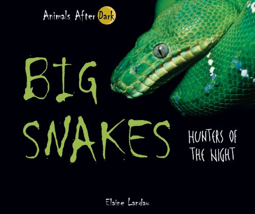Big Snakes: Hunters of the Night (Animals After Dark)