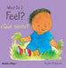 What Do I Feel? / Que Siento? (Small Senses Bilingual) (English and Spanish Edition)